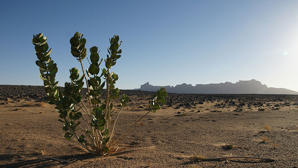 Libyen, Sahara, Fotografie