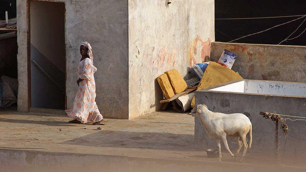 Senegal, Fotografie