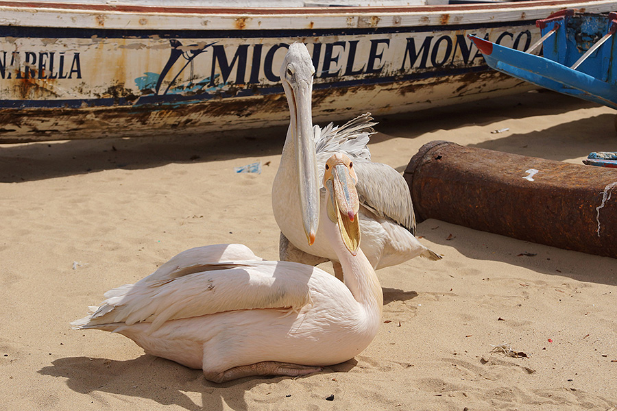 Senegal, Fotografie