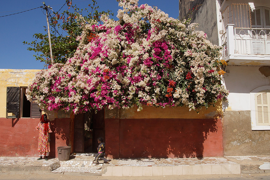 Senegal, Fotografie