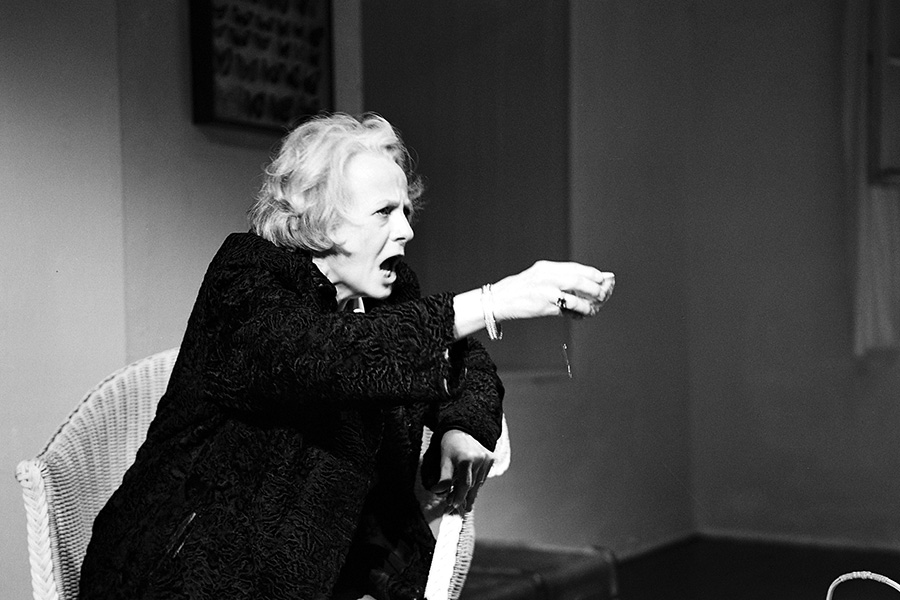 Theaterfotografie